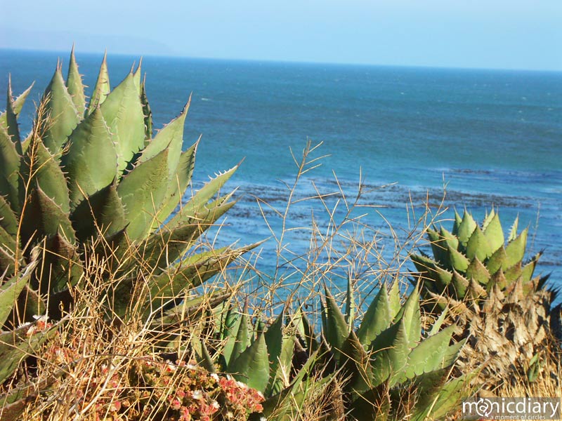 punta-san-jose105.jpg : baja.california.mexico