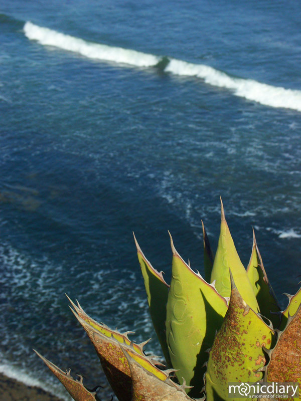 punta-san-jose110.jpg : baja.california.mexico