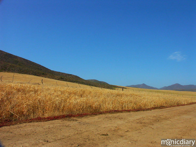 punta-san-jose114.jpg : baja.california.mexico