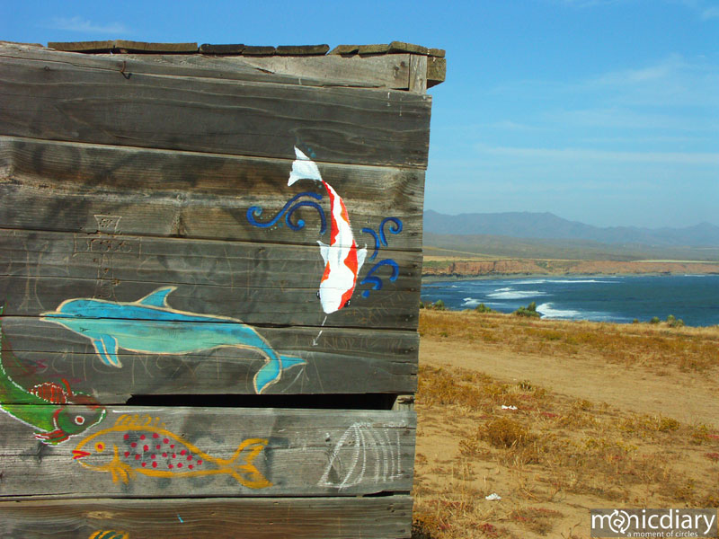 punta-san-jose118.jpg : baja.california.mexico