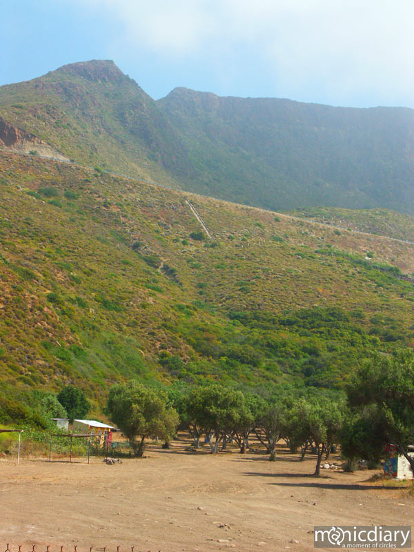 salsipudes050.jpg : baja.california.mexico