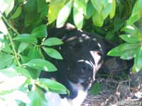 primo-tapia02.jpg : baja.california.mexico