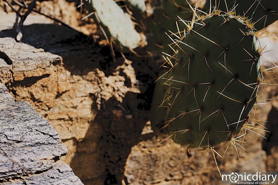 bear_canyon_az02.jpg : bear.canyon.arizona