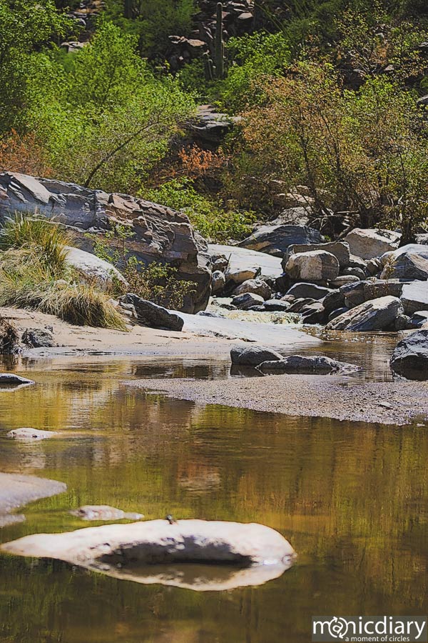 bear_canyon_az04.jpg : bear.canyon.arizona