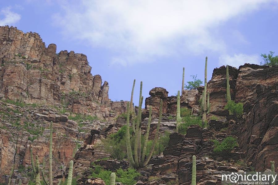 bear_canyon_az06.jpg : bear.canyon.arizona