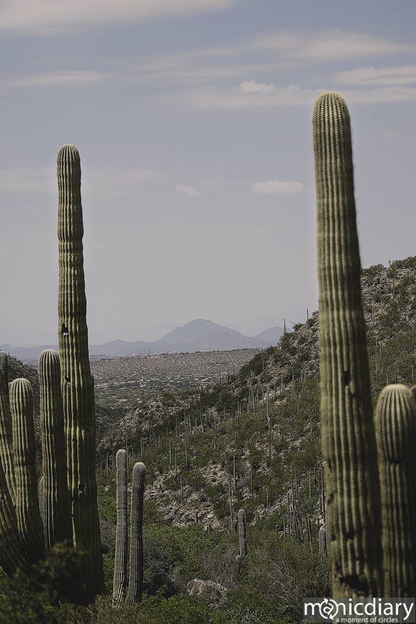 bear_canyon_az10.jpg : bear.canyon.arizona