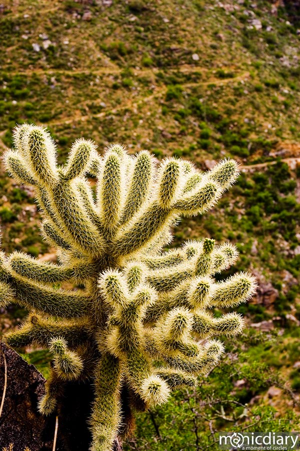 bear_canyon_az42.jpg : bear.canyon.arizona