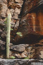 bear_canyon_az30.jpg : bear.canyon.arizona