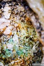 bear_canyon_az31.jpg : bear.canyon.arizona