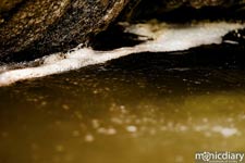 bear_canyon_az36.jpg : bear.canyon.arizona