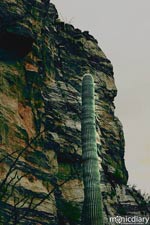 bear_canyon_az41.jpg : bear.canyon.arizona