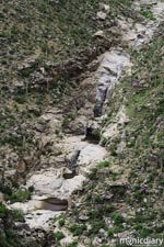 bear_canyon_az53.jpg : bear.canyon.arizona