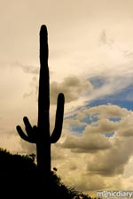 bear_canyon_az57.jpg : bear.canyon.arizona