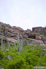 bear_canyon_az59.jpg : bear.canyon.arizona