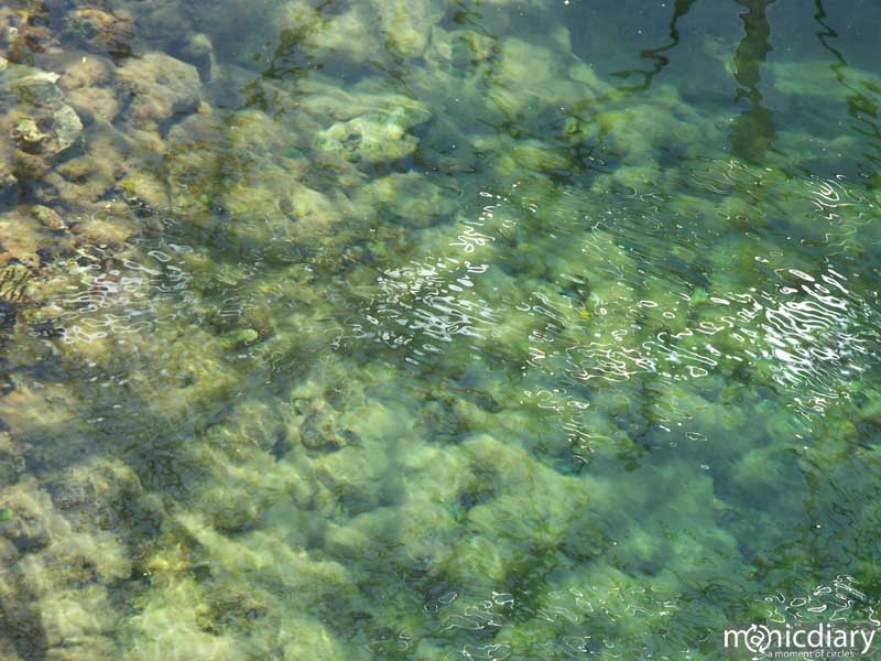 bio0016.jpg : biosphere.2.arizona