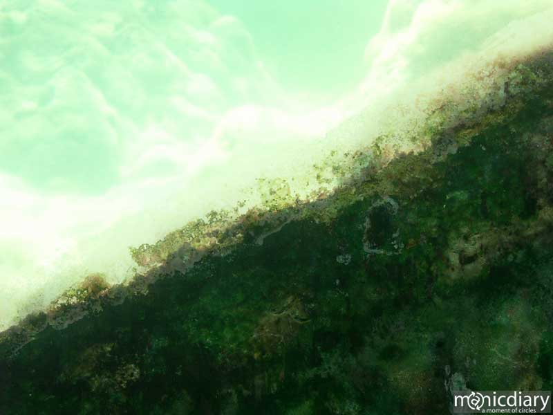 bio0046.jpg : biosphere.2.arizona