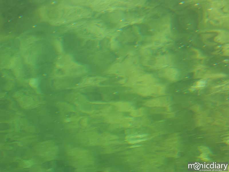 bio0048.jpg : biosphere.2.arizona