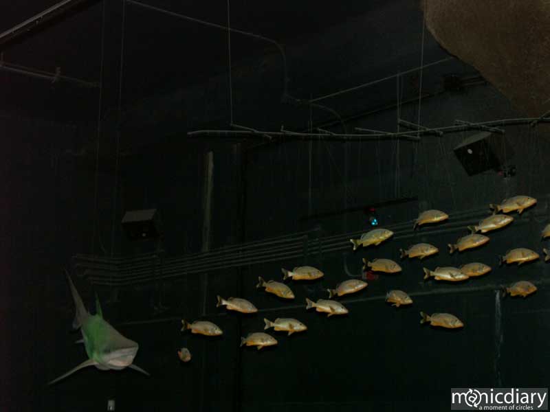 bio0056.jpg : biosphere.2.arizona