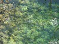 bio0016.jpg : biosphere.2.arizona