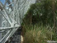 bio0018.jpg : biosphere.2.arizona
