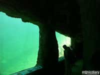 bio0042.jpg : biosphere.2.arizona