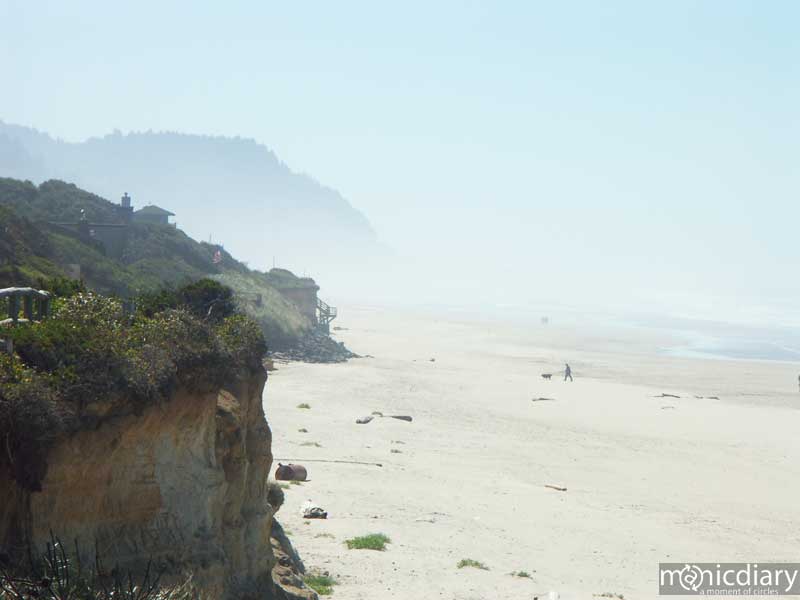 beach03.jpg : coast.oregon