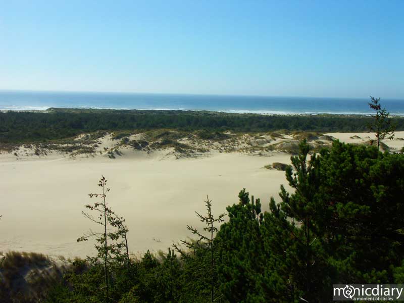 coast06.jpg : coast.oregon