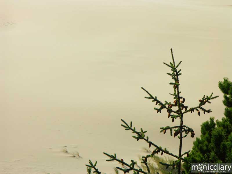 coast07.jpg : coast.oregon