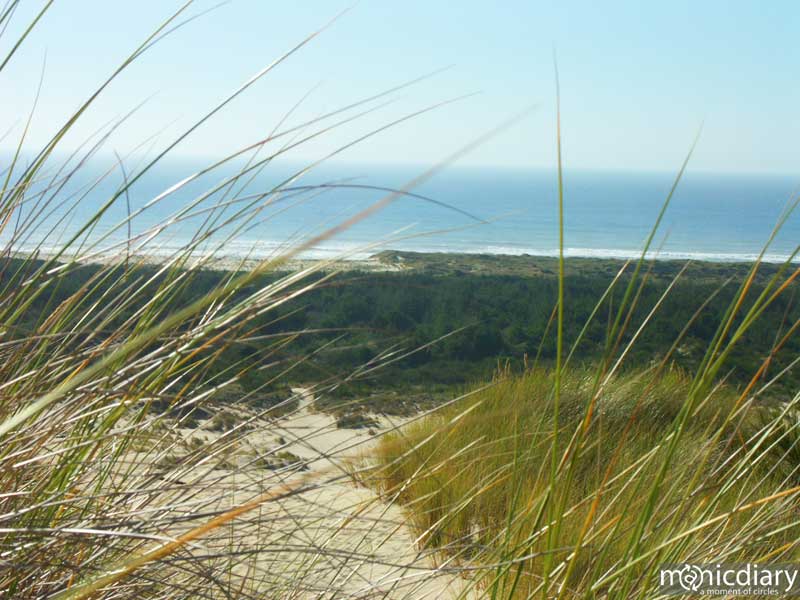 coast09.jpg : coast.oregon