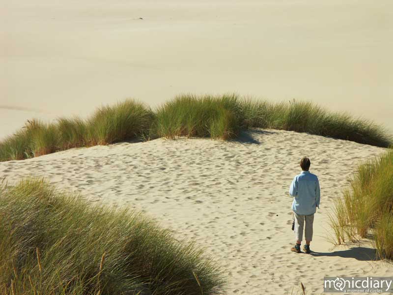 coast10.jpg : coast.oregon