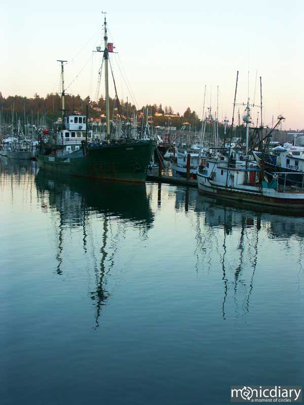 coast33.jpg : coast.oregon