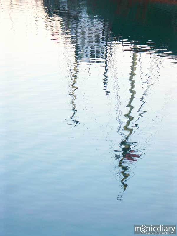 coast34.jpg : coast.oregon