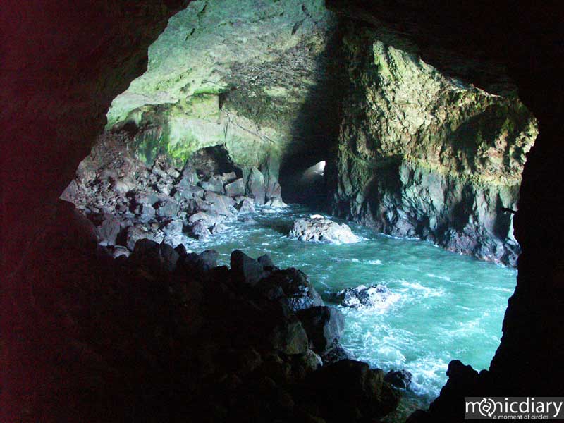 sea_lion_caves01.jpg : coast.oregon