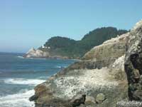 coast05.jpg : coast.oregon