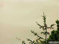 coast07.jpg : coast.oregon