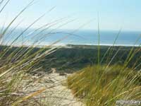 coast09.jpg : coast.oregon