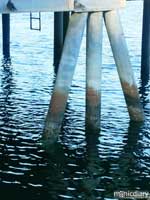 coast26.jpg : coast.oregon