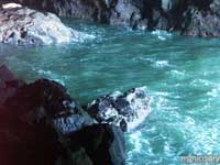 sea_lion_caves00.jpg : coast.oregon