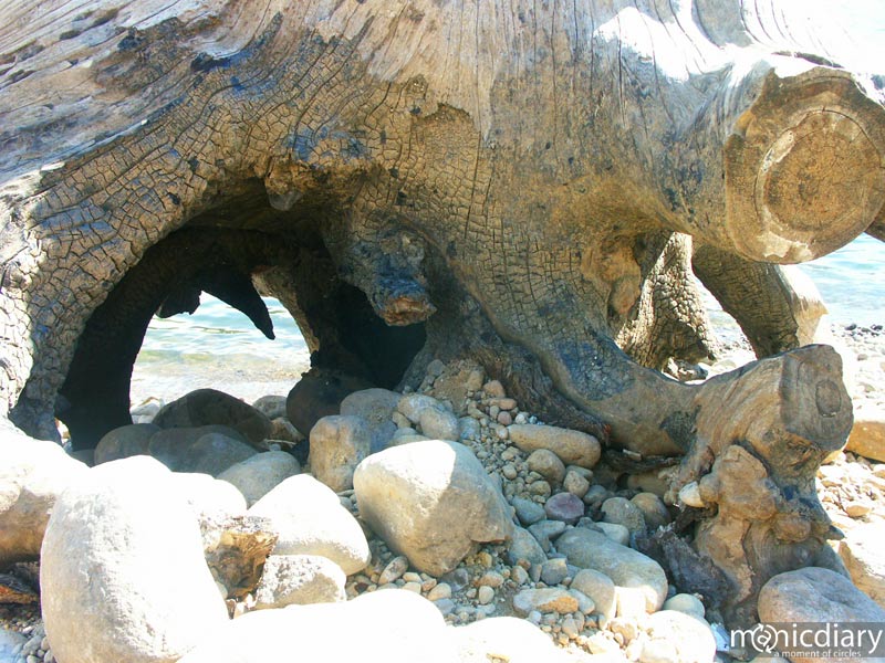 detroit04.jpg : detroit.oregon