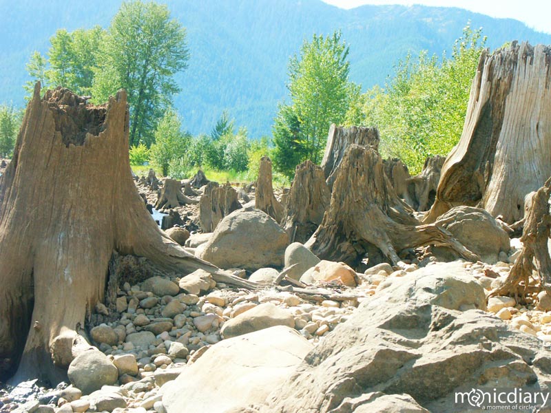 detroit05.jpg : detroit.oregon