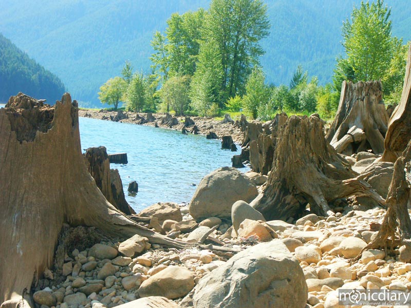 detroit06.jpg : detroit.oregon