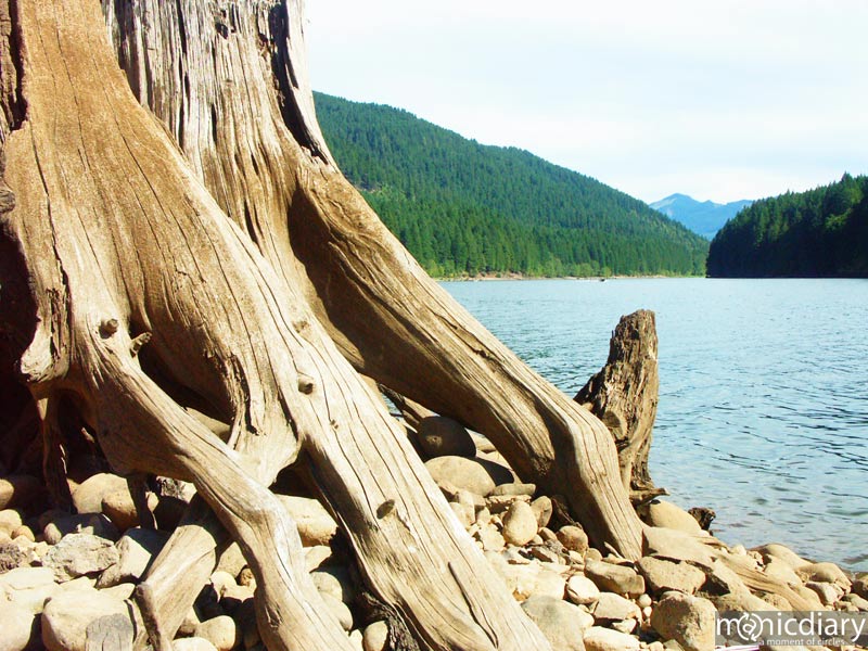 detroit09.jpg : detroit.oregon