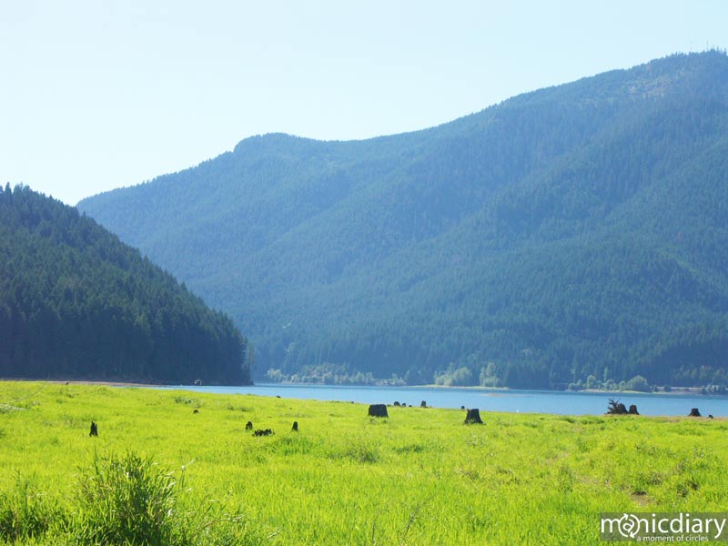 detroit11.jpg : detroit.oregon