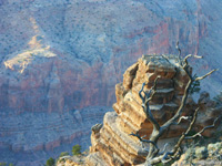 grand-canyon-0015.jpg : grand.canyon.arizona
