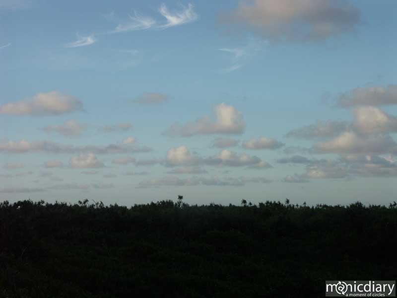 hana00.jpg : hana.maui