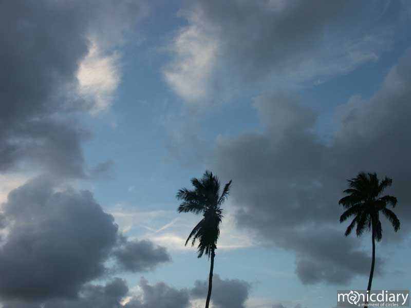 hana01.jpg : hana.maui