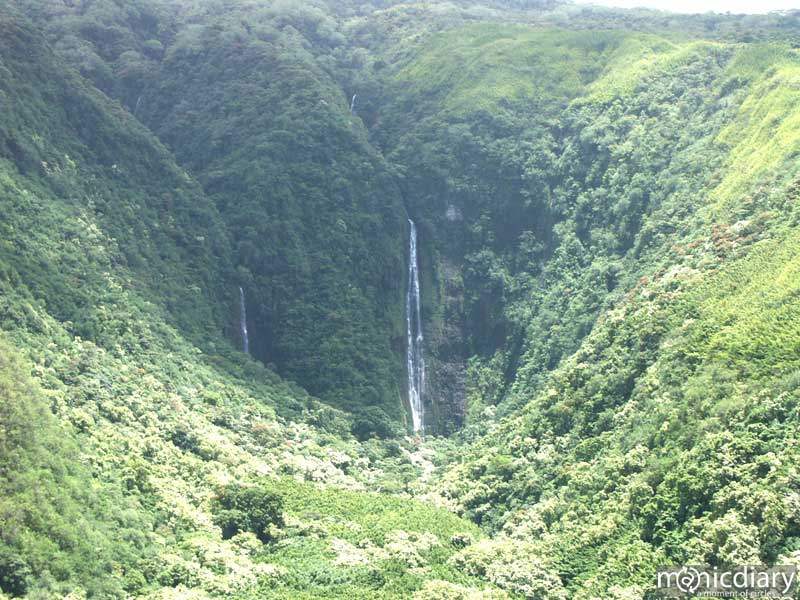 wfveiwhclose.jpg : hana.maui