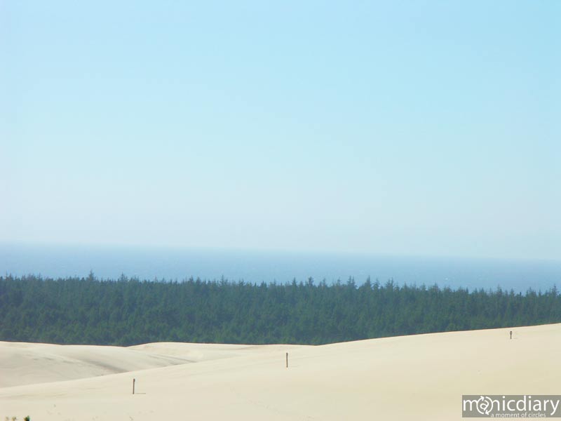 honeyman07.jpg : honeyman.sp.oregon