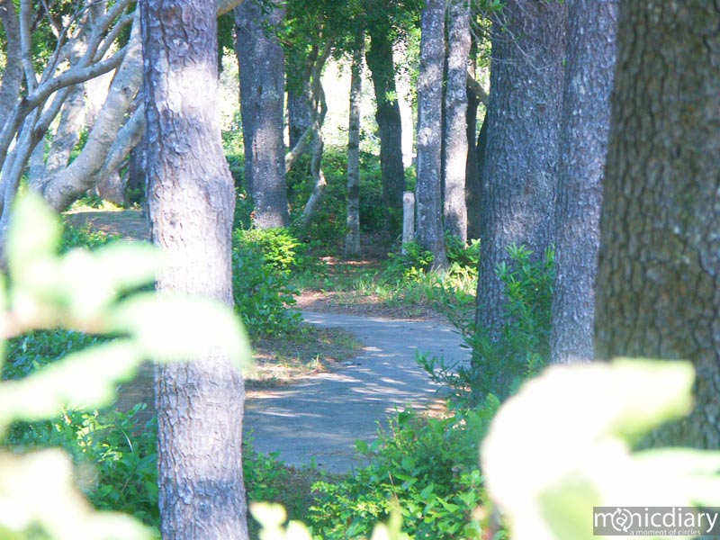 honeyman14.jpg : honeyman.sp.oregon