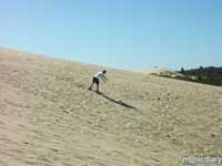 honeyman01.jpg : honeyman.sp.oregon